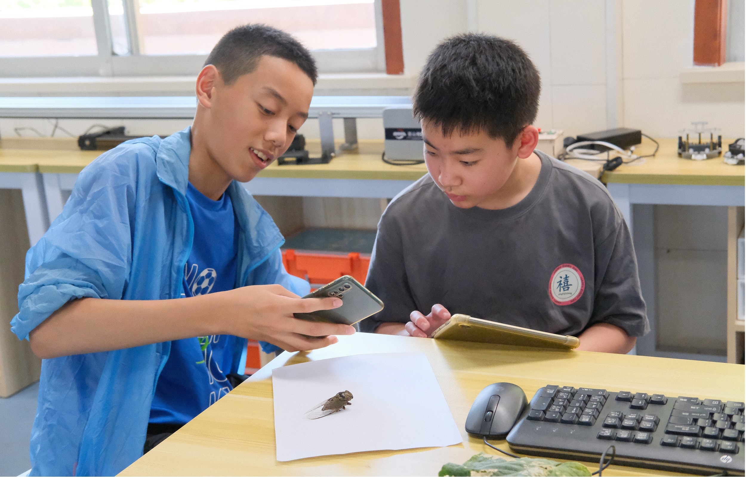 为学生创造力“撑腰”，温州瓯海打造“学有所用”的人工智能教育