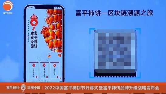 甜蜜中国│富平柿饼产业升级促共富1