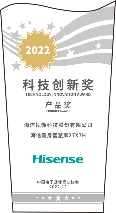 显示赛道树标杆 海信电视摘得三项年度大奖