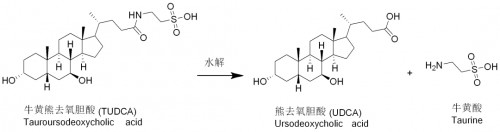 久银控股：源自中国古代典籍中的熊胆制品，会是新冠预防药物吗?