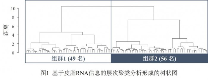 花王確立以皮脂RNA為依據(jù)的肌膚分類法