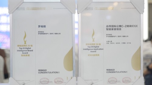 华体会体育罗格朗智能家居项目荣获2024阿拉丁神灯奖-数智奖(图5)