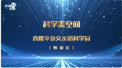 科普熊猫·蓉遇2024 — 年度科学美空间—袁隆平杂交水稻科学园